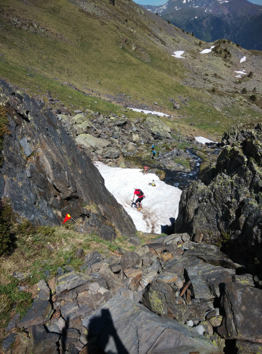 IMG_20150626_163054 - copia - copia-w530