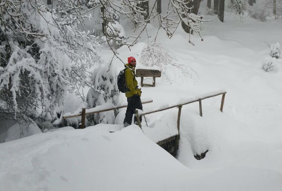 IMG-20160228-WA0021-w550